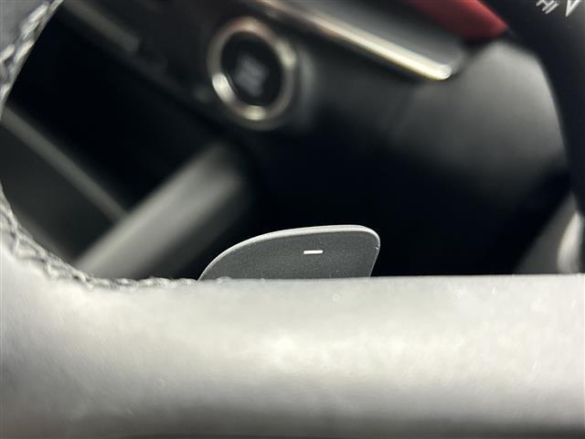 ＭＡＺＤＡ３ファストバック ２０Ｓバーガンディ　セレクション　禁煙車　マツダコネクトナビ　全方位カメラ　前席シートヒーター　レーダークルーズコントロール　ブラインドスポットモニター　メモリ機能付パワーシート　パドルシフト　前後ドライブレコーダー　赤革シート（24枚目）