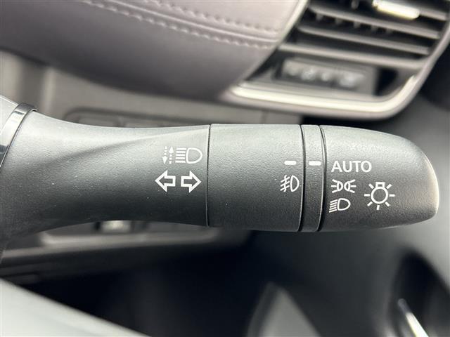 セレナ ハイウェイスターV 禁煙車/純正10型SDナビ/アラウンドビューモニター/ハンズフリー機能付き両側パワースライドドア/プロパイロット/衝突軽減ブレーキ/11型後席モニター/デジタルインナーミラー/ビルトインETC/LED(24枚目)