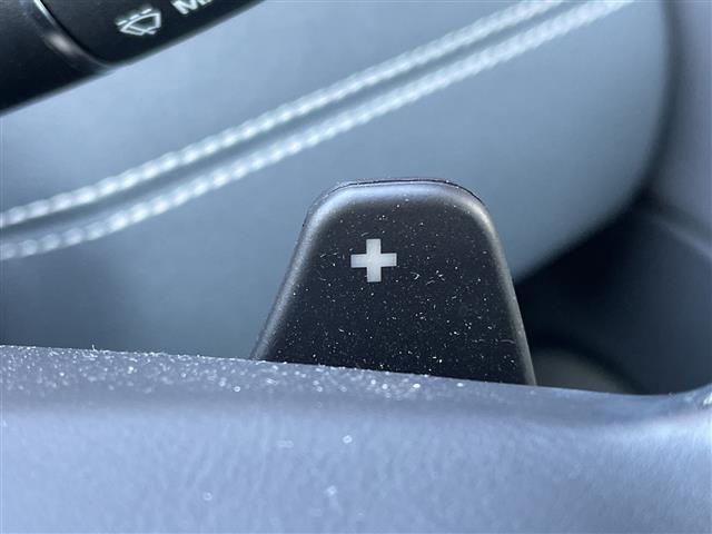 レンジローバーイヴォーク SEプラス 禁煙車 純正ナビ 衝突軽減ブレーキ レーンキープアシスト ブラインドスポットモニタ MERIDIAN 全方位カメラ 前席シートヒーター 前席メモリ機能付きパワーシート 本革シート ガラスルーフ ETC(23枚目)