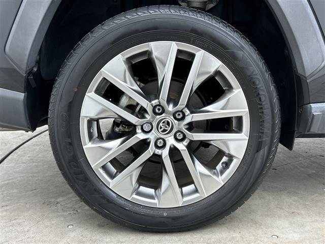 �f�ډӏ��ȊO�ɂ���]�̎ʐ^���������܂�����A���C�y�ɂ��₢���킹�������I���[����X���ł����肳���Ă��������܂��B