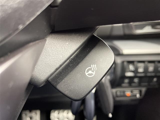 フォレスター アドバンス　アプライドモデル／ＤＩＡＴＯＮＥサウンドビルインナビ／バックサイドカメラ／アイサイトＮｅｒ３／レーダークルーズコントロール／ＬＫＡ／ＰＣＳ／ＲＤＡ／ドライバーモニタリングシステム／純正ＥＴＣ２．０（26枚目）