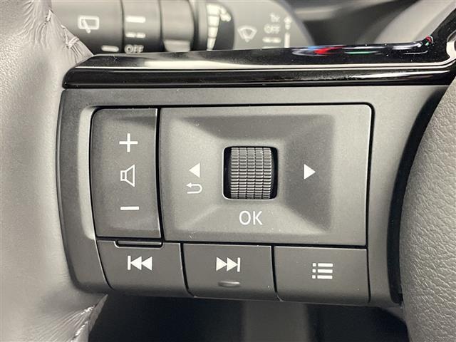 エクストレイル Ｇ　ｅ－４ＯＲＣＥ　純正１２．３型ナビ　全周囲カメラ　アダプティブクルーズコントロール　パワーバックドア　デジタルインナーミラー　ブラインドスポットモニター　前後ドライブレコーダー　ＬＥＤヘッドライト　ＥＴＣ　禁煙車（25枚目）