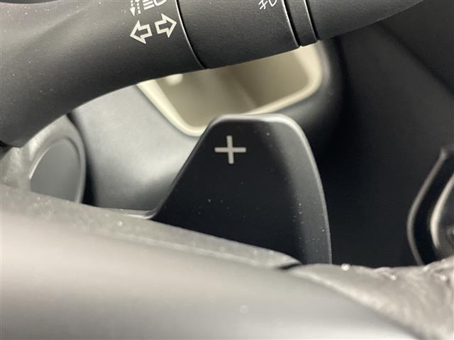 デリカミニ Ｔ　プレミアム　届出済未使用車　社外１０型ディスプレイオーディオ　全周囲カメラ　アダプティブクルーズコントロール　デジタルインナーミラー　衝突被害軽減ブレーキ　シートヒーター　両側パワースライドドア　ＥＴＣ　ＬＥＤ（11枚目）
