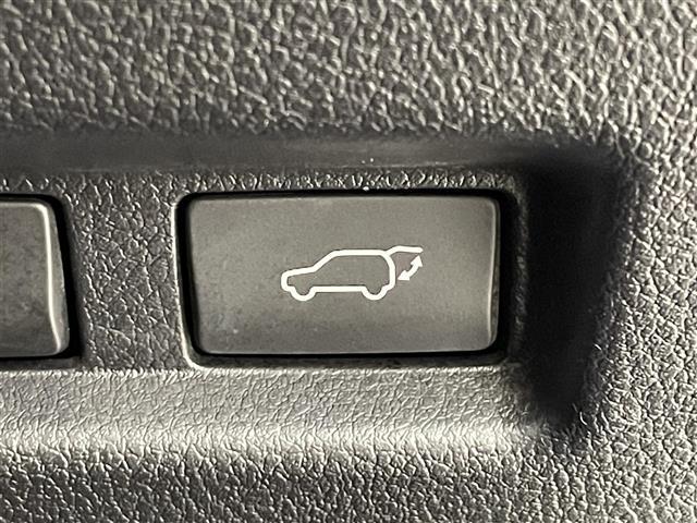 UX UX250h Fスポーツ ムーンルーフ パノラミックビューモニター 三眼LEDヘッドランプ Fスポーツ専用赤本革シート シートベンチレーション ブラインドスポットモニター カラーヘッドアップディスプレイ ドライブレコーダー(10枚目)