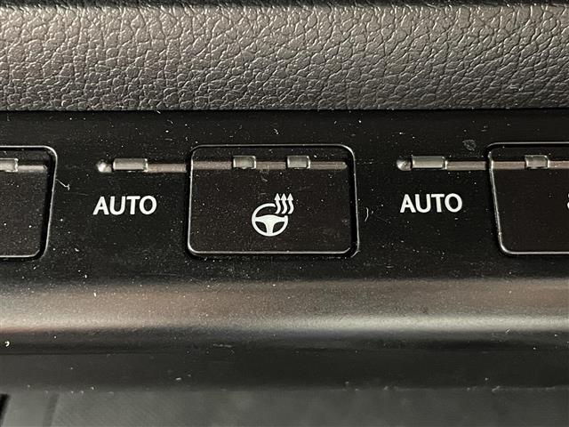 UX UX250h Fスポーツ ムーンルーフ パノラミックビューモニター 三眼LEDヘッドランプ Fスポーツ専用赤本革シート シートベンチレーション ブラインドスポットモニター カラーヘッドアップディスプレイ ドライブレコーダー(11枚目)