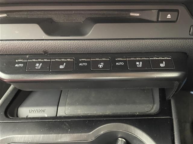 UX UX250h Fスポーツ ムーンルーフ パノラミックビューモニター 三眼LEDヘッドランプ Fスポーツ専用赤本革シート シートベンチレーション ブラインドスポットモニター カラーヘッドアップディスプレイ ドライブレコーダー(19枚目)