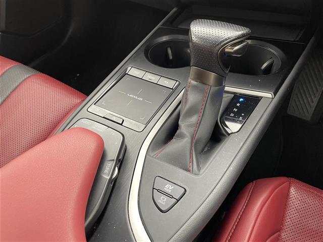 UX UX250h Fスポーツ ムーンルーフ パノラミックビューモニター 三眼LEDヘッドランプ Fスポーツ専用赤本革シート シートベンチレーション ブラインドスポットモニター カラーヘッドアップディスプレイ ドライブレコーダー(20枚目)