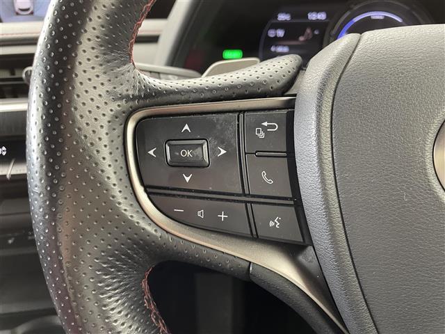 UX UX250h Fスポーツ ムーンルーフ パノラミックビューモニター 三眼LEDヘッドランプ Fスポーツ専用赤本革シート シートベンチレーション ブラインドスポットモニター カラーヘッドアップディスプレイ ドライブレコーダー(22枚目)