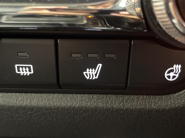 ＣＸ－３０ ２０Ｓ　プロアクティブ　ツーリングセレクション　純正８．８型ナビ　全周囲カメラ　電動リアゲート　パワーシート　前後ドラレコ　ビルトインＥＴＣ　アダプティブクルーズコントロール　ＢＳＭ　衝突被害軽減ブレーキ　シートヒーター　ＬＥＤライト　禁煙車（6枚目）