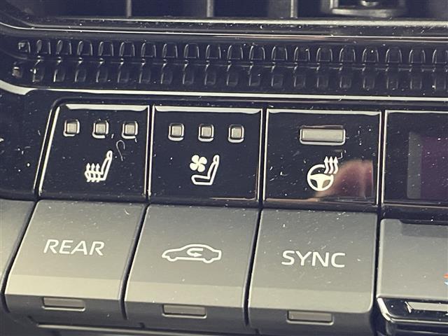 ランドクルーザー250 VX 純正12.3型ナビ 全周囲カメラ サンルーフ JBL ワイヤレス充電 アダクティブクルーズコントロール ハンドルヒーター 電動リアゲート デジタルインナーミラー ルーフレール ETC2.0 禁煙車(9枚目)