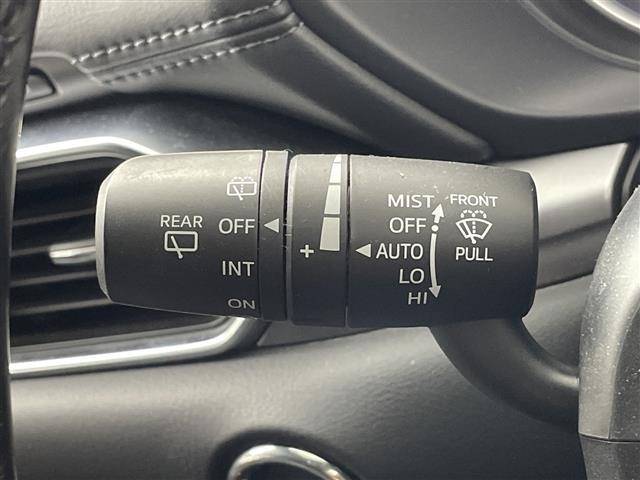 ＣＸ－８ ＸＤ　純正メーカーオプション７型ナビ　フルセグＴＶ　バックカメラ　衝突被害軽減システム　ブラインドスポットモニター　アダプティブクルーズコントロール　ステアリングスイッチ　ＬＥＤライト　ＥＴＣ　禁煙車（16枚目）