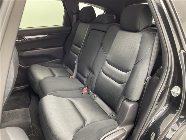 ＣＸ－８ ＸＤ　純正メーカーオプション７型ナビ　フルセグＴＶ　バックカメラ　衝突被害軽減システム　ブラインドスポットモニター　アダプティブクルーズコントロール　ステアリングスイッチ　ＬＥＤライト　ＥＴＣ　禁煙車（32枚目）