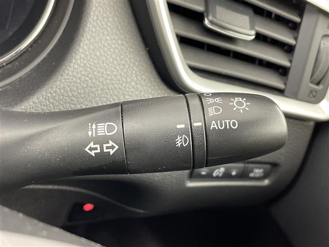 エクストレイル 20X エマージェンシーブレーキパッケージ 純正ナビ 全周囲カメラ 衝突被害軽減ブレーキ 前席シートヒーター クリアランスソナー ダウンヒルアシスト BSM クルーズコントロール レーンキープアシスト ドラレコ ビルトインETC LED 禁煙車(18枚目)