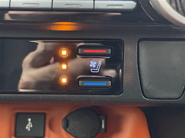 RAV4 アドベンチャー JAOSエアロ 純正9型ナビ 全周囲カメラ ブラインドスポットモニター アダプティブクルーズコントロール 電動リアゲート ステアリングヒーター シートヒーター エアシート ETC スマートキー 禁煙車(6枚目)