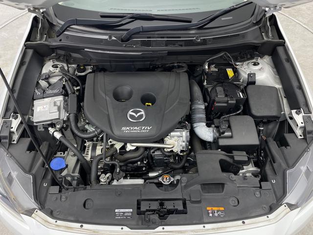 【希望ナンバー】お好きな番号が選べます。※ご希望のナンバーによっては抽選となる場合があります。