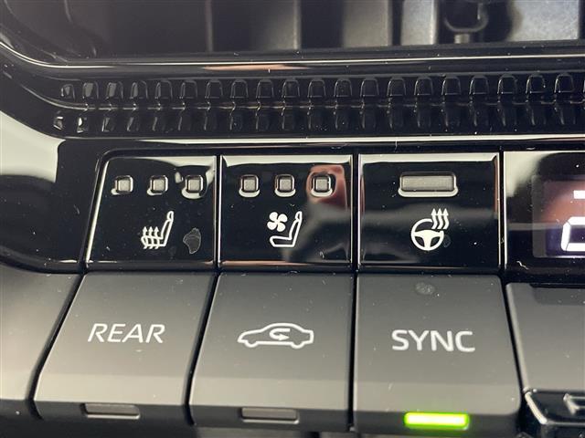 ランドクルーザー250 VX 登録済未使用車 電動ムーンルーフ 純正12.3型ナビ 全周囲カメラ 電子ミラー レザーシート シートヒーター/シートベンチレーション 電動リアゲート 衝突被害軽減ブレーキ レーンアシスト 禁煙車(10枚目)