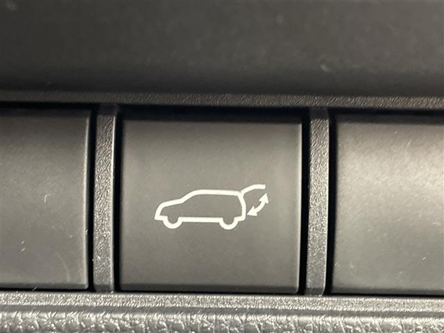 ランドクルーザー250 VX 登録済未使用車 電動ムーンルーフ 純正12.3型ナビ 全周囲カメラ 電子ミラー レザーシート シートヒーター/シートベンチレーション 電動リアゲート 衝突被害軽減ブレーキ レーンアシスト 禁煙車(13枚目)