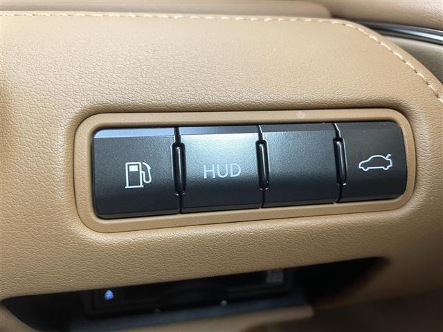 LC LC500 Sパッケージ 純正ナビ TRDフルエアロ カラーヘッドアップディスプレイ アクティブリアウィング 純正21インチアルミホイール アルカンターラ内装(オーカー)純正ビルトインETC 純正フロアマット 保証書,記録簿(21枚目)