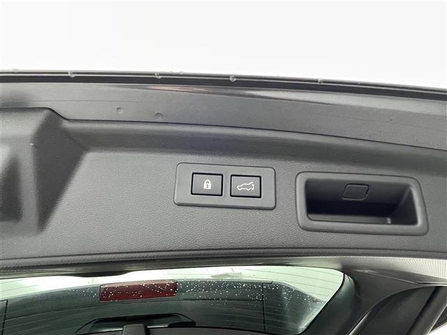 フォレスター スポーツ アイサイト 純正9インチナビ Bluetooth/CD/DVD/HDMI/フルセグTV 全方位カメラ デジタルインナーミラー シートヒーター パワーバックドア 電動パーキングブレーキ ビルトインETC(28枚目)