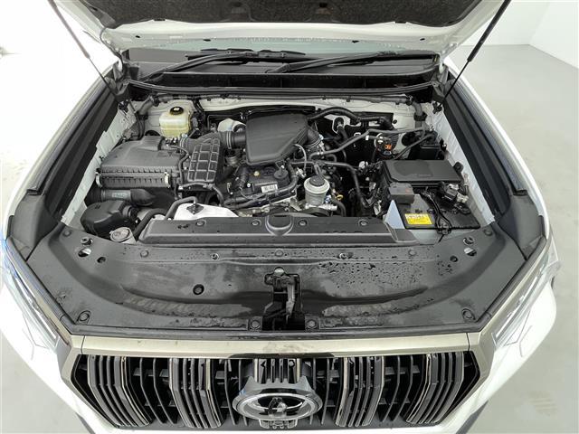 ランドクルーザープラド TX Lパッケージ 70thアニバーサリーリミテッド 純正メーカーオプション9インチナビ 7人乗り仕様 寒冷地仕様 全方位モニター プラドスーパーライブサウンド サドルタン 快適温熱レザーシート 純正18インチアルミホイール 純正スターター ETC(39枚目)