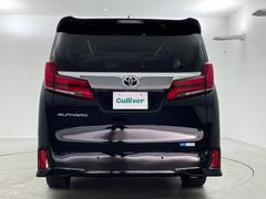 ե ӡåѥå롼ա̣ţĥإåɥ饤ȡ᡼ʥ 3000561A30251027W002 5