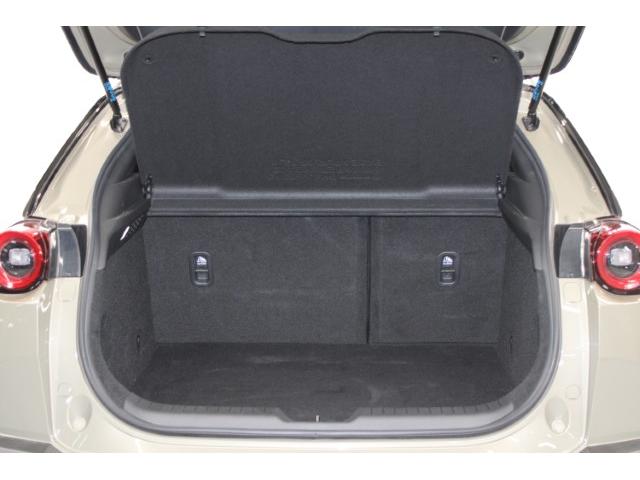 ＭＸ－３０ インダストリアルクラシック　禁煙車　純正８．８型ディスプレイ　全周囲カメラ　フルセグ　レーダークルーズ　セーフティＰＫＧ　アダプティブＬＥＤヘッドランプ　ブラウン内装　衝突軽減　ＢＳＭ　パワーシート　シートヒーター　ＥＴＣ（33枚目）