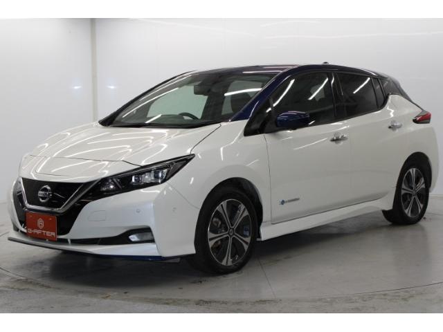 リーフ ｅ＋　Ｇ　禁煙車　ツートンルーフ　ＢＯＳＥサウンド　純正９インチナビ　ブラインドスポットモニター　プロパイロット　アラウンドビューモニター　ビルトインＥＴＣ２．０　ステアリングヒーター　シートヒーター（14枚目）