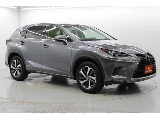 ＮＸ ＮＸ３００ｈ　Ｉパッケージ　後期型／純正ナビ／地デジ／全周囲カメラ／ムーンルーフ／電動Ｒドア／衝突軽減／レーダークルーズ／三眼ＬＥＤ／（7枚目）