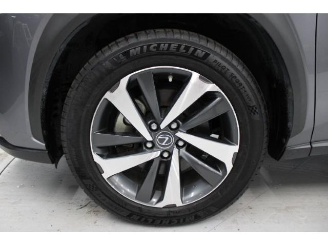 ＮＸ ＮＸ３００ｈ　Ｉパッケージ　後期型／純正ナビ／地デジ／全周囲カメラ／ムーンルーフ／電動Ｒドア／衝突軽減／レーダークルーズ／三眼ＬＥＤ／（19枚目）