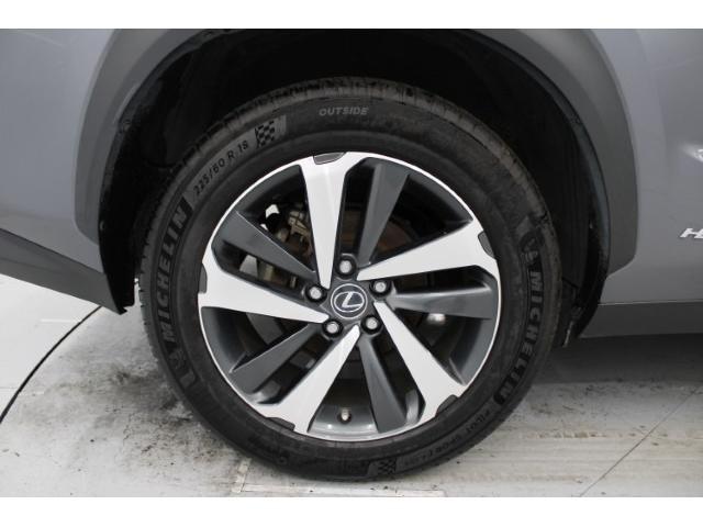 ＮＸ ＮＸ３００ｈ　Ｉパッケージ　後期型／純正ナビ／地デジ／全周囲カメラ／ムーンルーフ／電動Ｒドア／衝突軽減／レーダークルーズ／三眼ＬＥＤ／（21枚目）