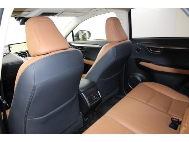 ＮＸ ＮＸ３００ｈ　Ｉパッケージ　後期型／純正ナビ／地デジ／全周囲カメラ／ムーンルーフ／電動Ｒドア／衝突軽減／レーダークルーズ／三眼ＬＥＤ／（38枚目）