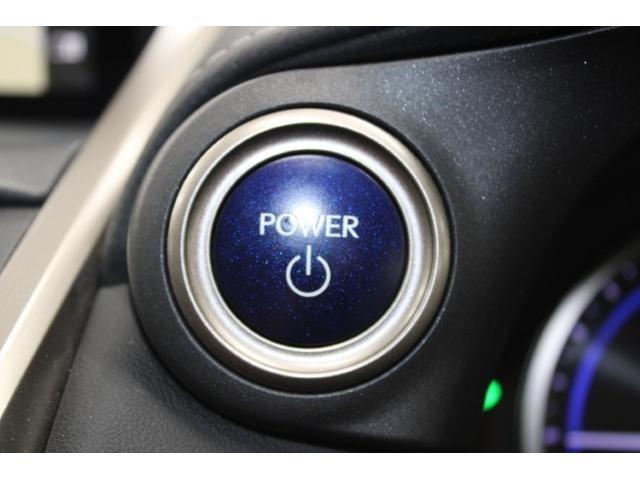 ＮＸ ＮＸ３００ｈ　Ｉパッケージ　後期型／純正ナビ／地デジ／全周囲カメラ／ムーンルーフ／電動Ｒドア／衝突軽減／レーダークルーズ／三眼ＬＥＤ／（48枚目）