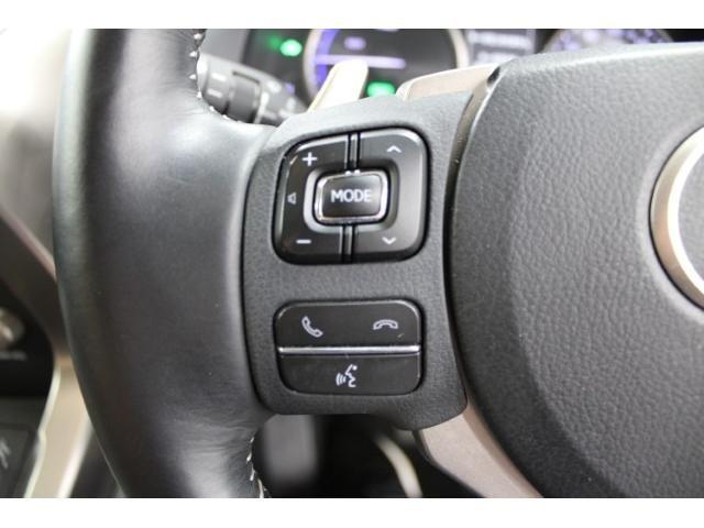 ＮＸ ＮＸ３００ｈ　Ｉパッケージ　後期型／純正ナビ／地デジ／全周囲カメラ／ムーンルーフ／電動Ｒドア／衝突軽減／レーダークルーズ／三眼ＬＥＤ／（55枚目）