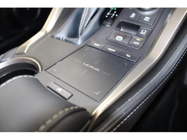 ＮＸ ＮＸ３００ｈ　Ｉパッケージ　後期型／純正ナビ／地デジ／全周囲カメラ／ムーンルーフ／電動Ｒドア／衝突軽減／レーダークルーズ／三眼ＬＥＤ／（62枚目）