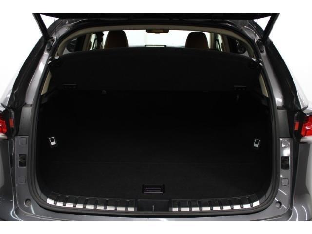 ＮＸ ＮＸ３００ｈ　Ｉパッケージ　後期型／純正ナビ／地デジ／全周囲カメラ／ムーンルーフ／電動Ｒドア／衝突軽減／レーダークルーズ／三眼ＬＥＤ／（66枚目）