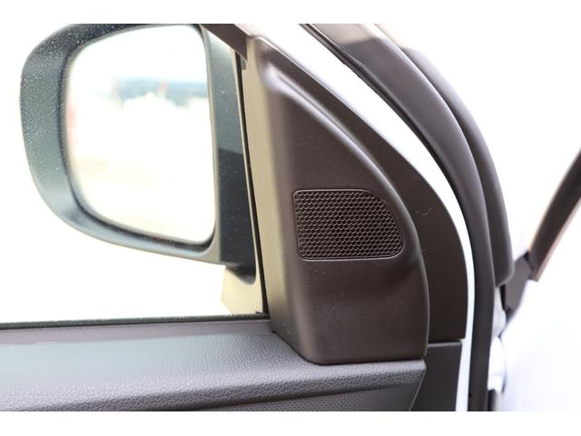 ライズ Z(47枚目)