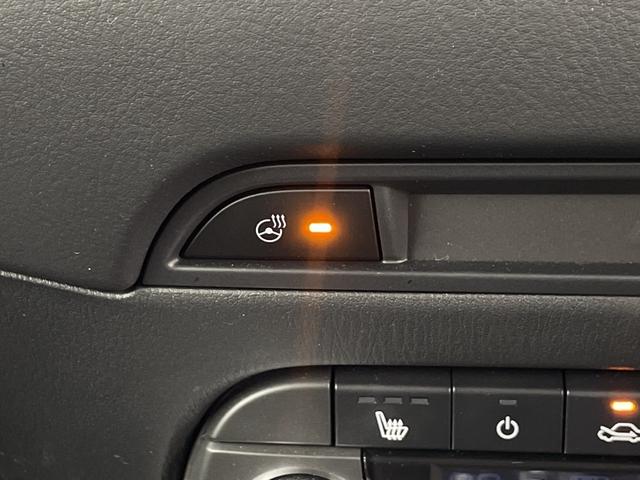 CX-5 XD スポーツアピアランス BOSEプレミアムサウンド 純正CD/DVDデッキ 純正ナビ 全方位カメラ ETC2.0 デジタルインナミラー ドライブレコーダー パワーシート 電動リアゲート ステアリングヒーター シートヒーター(23枚目)