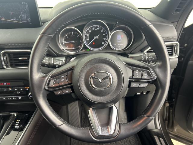 ＣＸ－８ ＸＤプロアクティブ　純正ナビ　全方位カメラ　ＥＴＣ　前後ドライブレコーダー　パワーバックドア　ＢＳＭ　シートヒーター　ステアリングヒーター　メモリ付きパワーシート　レーダークルーズコントロール　クリアランスソナー　ＬＥＤ（10枚目）