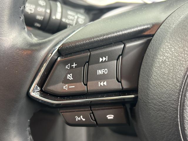 ＣＸ－８ ＸＤプロアクティブ　純正ナビ　全方位カメラ　ＥＴＣ　前後ドライブレコーダー　パワーバックドア　ＢＳＭ　シートヒーター　ステアリングヒーター　メモリ付きパワーシート　レーダークルーズコントロール　クリアランスソナー　ＬＥＤ（11枚目）