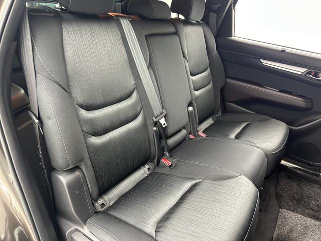 ＣＸ－８ ＸＤプロアクティブ　純正ナビ　全方位カメラ　ＥＴＣ　前後ドライブレコーダー　パワーバックドア　ＢＳＭ　シートヒーター　ステアリングヒーター　メモリ付きパワーシート　レーダークルーズコントロール　クリアランスソナー　ＬＥＤ（46枚目）