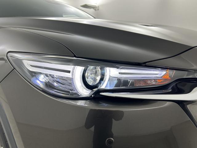 ＣＸ－８ ＸＤプロアクティブ　純正ナビ　全方位カメラ　ＥＴＣ　前後ドライブレコーダー　パワーバックドア　ＢＳＭ　シートヒーター　ステアリングヒーター　メモリ付きパワーシート　レーダークルーズコントロール　クリアランスソナー　ＬＥＤ（55枚目）