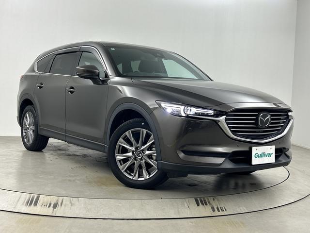 ＣＸ－８ ＸＤプロアクティブ　純正ナビ　全方位カメラ　ＥＴＣ　前後ドライブレコーダー　パワーバックドア　ＢＳＭ　シートヒーター　ステアリングヒーター　メモリ付きパワーシート　レーダークルーズコントロール　クリアランスソナー　ＬＥＤ（64枚目）