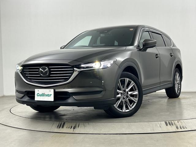 ＣＸ－８ ＸＤプロアクティブ　純正ナビ　全方位カメラ　ＥＴＣ　前後ドライブレコーダー　パワーバックドア　ＢＳＭ　シートヒーター　ステアリングヒーター　メモリ付きパワーシート　レーダークルーズコントロール　クリアランスソナー　ＬＥＤ（65枚目）