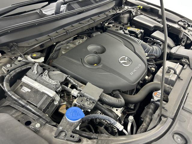 ＣＸ－８ ＸＤプロアクティブ　純正ナビ　全方位カメラ　ＥＴＣ　前後ドライブレコーダー　パワーバックドア　ＢＳＭ　シートヒーター　ステアリングヒーター　メモリ付きパワーシート　レーダークルーズコントロール　クリアランスソナー　ＬＥＤ（75枚目）