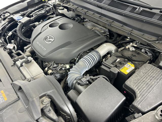 ＣＸ－８ ＸＤプロアクティブ　純正ナビ　全方位カメラ　ＥＴＣ　前後ドライブレコーダー　パワーバックドア　ＢＳＭ　シートヒーター　ステアリングヒーター　メモリ付きパワーシート　レーダークルーズコントロール　クリアランスソナー　ＬＥＤ（77枚目）