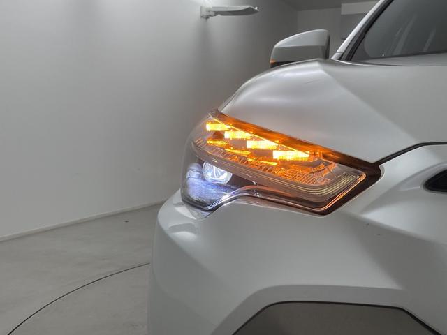 ���K���o�[�O���[�v�S���R�T�C�O�O�O�䁦�̒�����C�ɓ������P������I�т��������܂��B�w�{���ɂ��̃N���}��I��ł����̂��ȁH�x�Ƃ����s�������C�y�ɓX�܃X�^�b�t�܂ł����k�������I�I���Q�O�Q�Q�N�V�����_