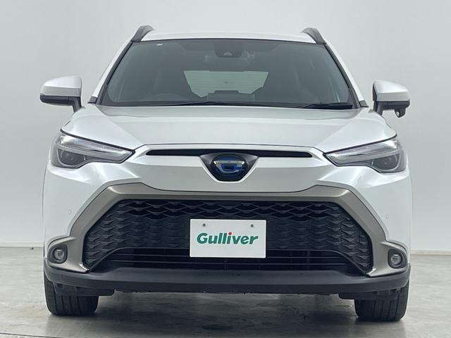 �������������������C�ɓ���̂P�����������Ƃ�����߂Ăق����Ȃ��I�����ł������[�ԏ���܂��B