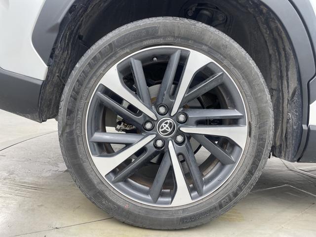 �w�E���R�|���b�V���x�͐�p�̗n�܂Ō��������A�C�ɂȂ�K���X�E���R���������܂��B��łȃE���R�ɂ����ʂ���B���Ԃ̎��E�Ɣ��ς��L�[�v����ׂɂ����߂��������i�ł��B