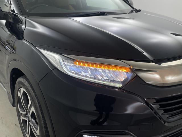 ���K���o�[�O���[�v�S���R�T�C�O�O�O�䁦�̒�����C�ɓ������P������I�т��������܂��B�w�{���ɂ��̃N���}��I��ł����̂��ȁH�x�Ƃ����s�������C�y�ɓX�܃X�^�b�t�܂ł����k�������I�I���Q�O�Q�Q�N�V�����_