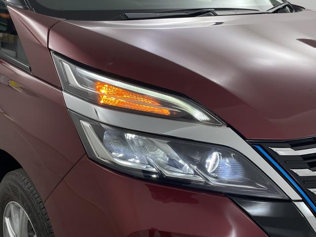 ���v���̂������̃N���[�j���O�Ő����Ȃ��N���}�ł��[�Ԃ����Ē����Ă���܂��I